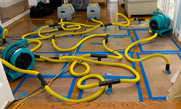 Professional Water Extraction technician working in Waveland, MS